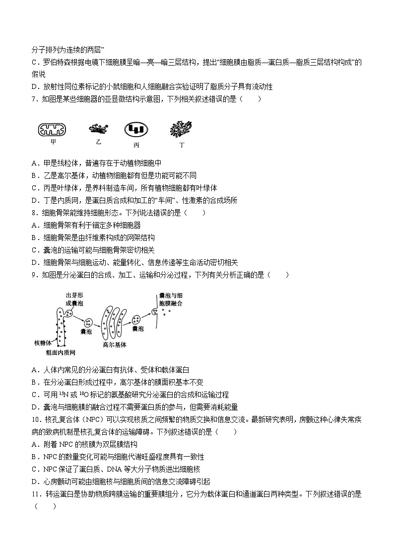 山西省朔州市怀仁市一中2023-2024学年高一下学期第一次月考生物试题第2页