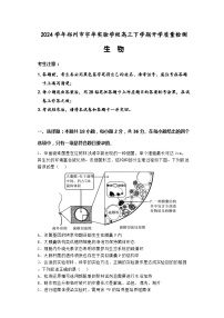 2024郑州宇华实验学校高三下学期开学考试生物含解析