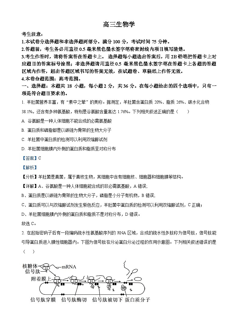 2024湖北省部分学校高三下学期2月开学考试生物试卷含解析01
