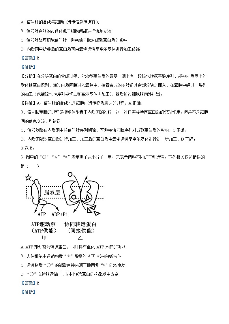 2024湖北省部分学校高三下学期2月开学考试生物试卷含解析02