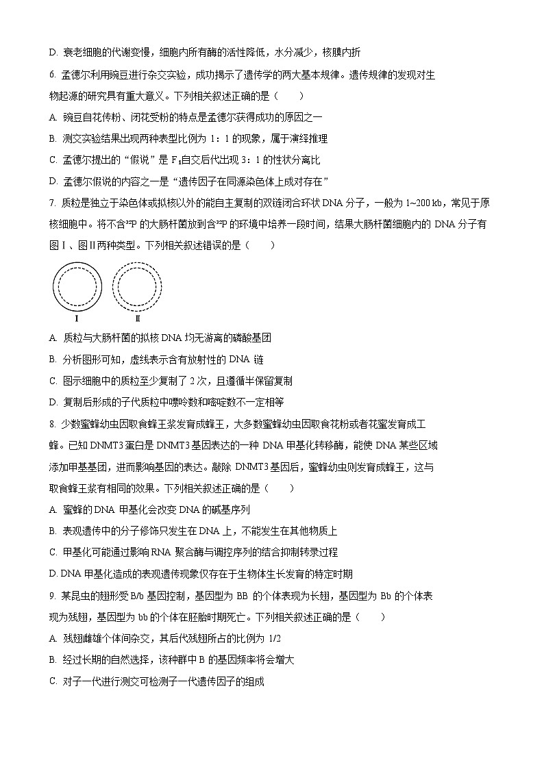 2024湖北省部分学校高三下学期2月开学考试生物试卷含解析03