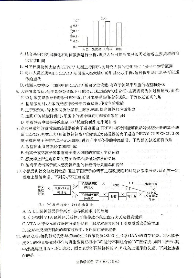 2024湖南省新高考教学教研联盟高三下学期第一次联考试题生物PDF版含解析03