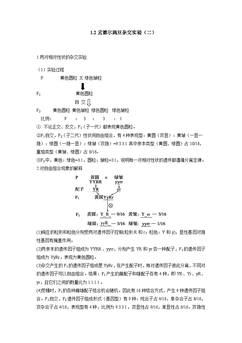 （人教版2019必修2）高一生物课后培优分级练1.2 孟德尔的豌豆杂交实验（二）（原卷版+解析）01