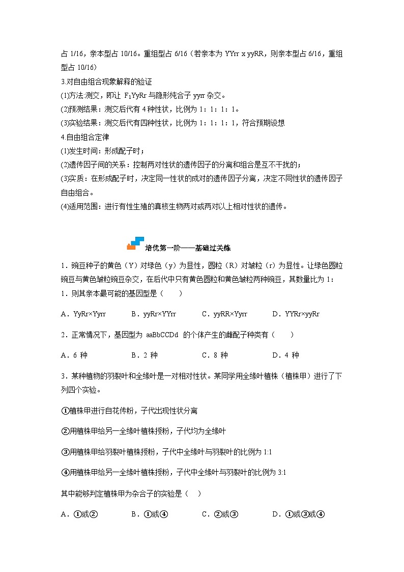 （人教版2019必修2）高一生物课后培优分级练1.2 孟德尔的豌豆杂交实验（二）（原卷版+解析）02