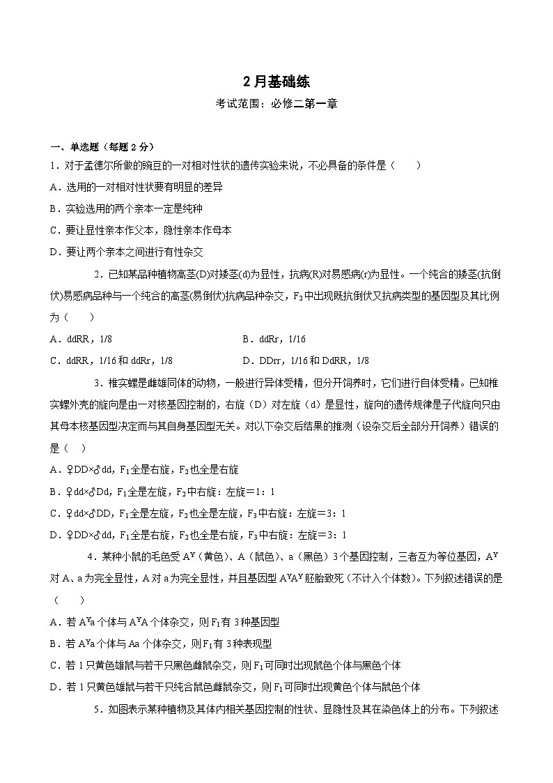 （人教版2019必修2）高一生物课后培优分级练2月份检测卷01（基础练）（考试范围：第1章）（原卷版+解析）第1页