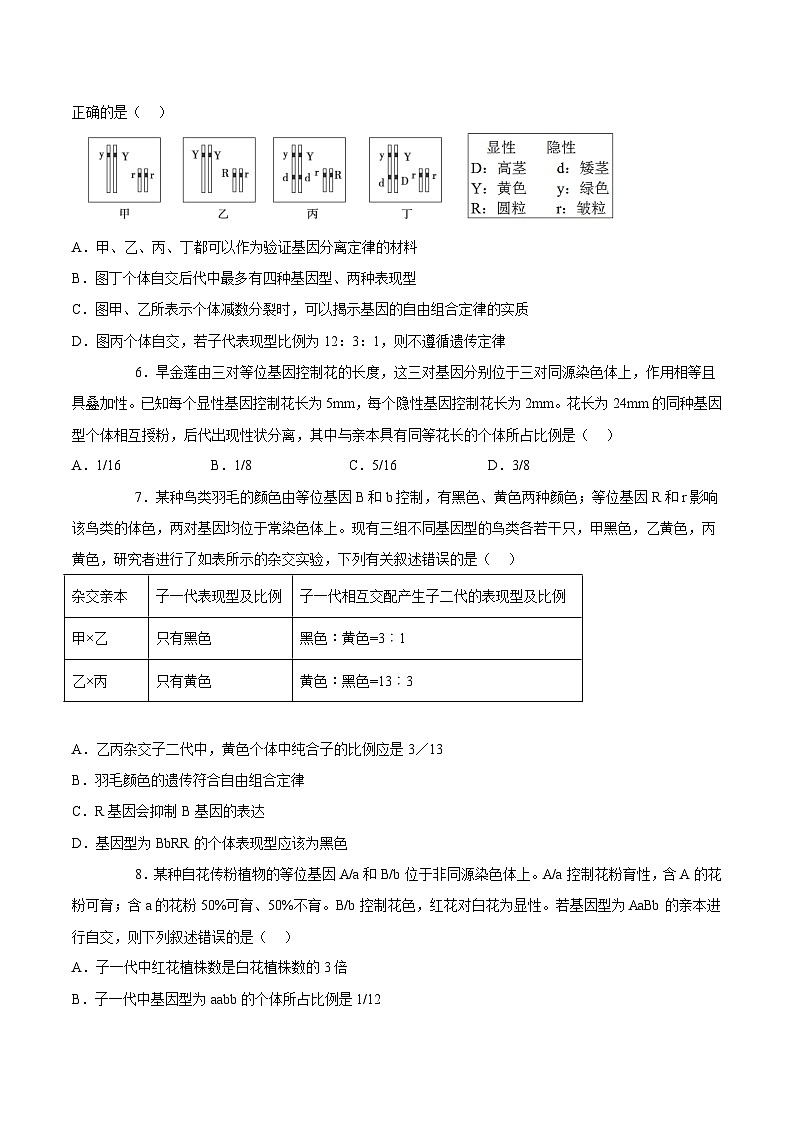 （人教版2019必修2）高一生物课后培优分级练2月份检测卷01（基础练）（考试范围：第1章）（原卷版+解析）第2页
