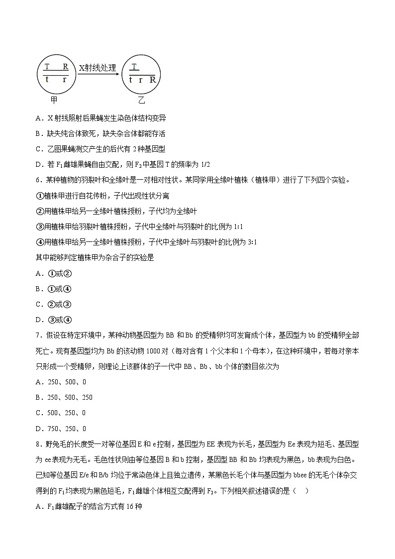 （人教版2019必修2）高一生物课后培优分级练2月份检测卷02（提升练）（考试范围：第1章）（原卷版+解析）02