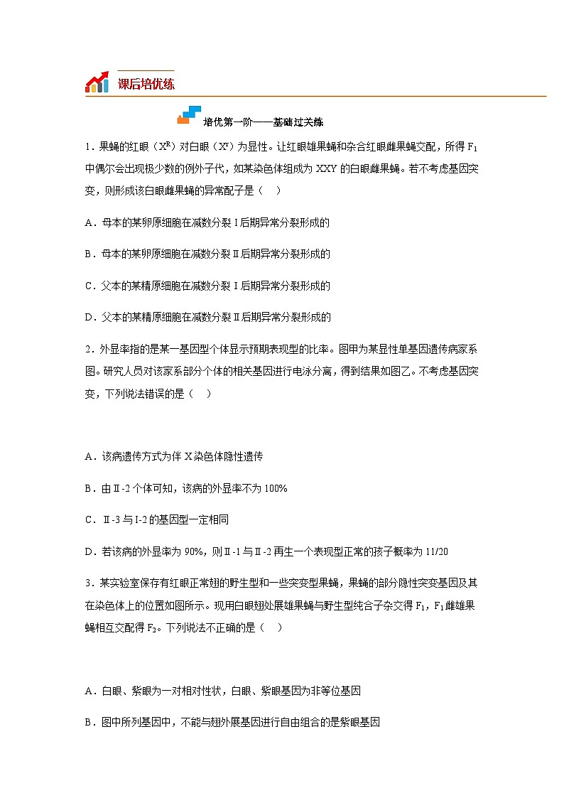 （人教版2019必修2）高一生物课后培优分级练2.3 伴性遗传（原卷版+解析）02