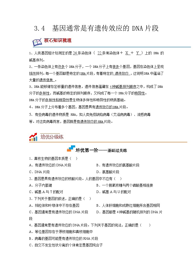 （人教版2019必修2）高一生物课后培优分级练3.4 基因通常是有遗传效应的DNA片段（原卷版+解析）01