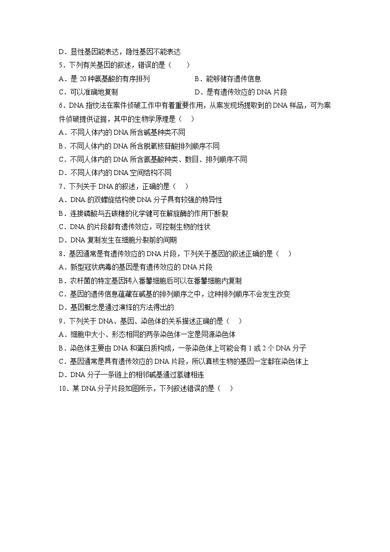 （人教版2019必修2）高一生物课后培优分级练3.4 基因通常是有遗传效应的DNA片段（原卷版+解析）02