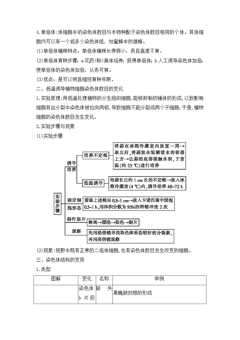 （人教版2019必修2）高一生物课后培优分级练5.2 染色体变异（原卷版+解析）02