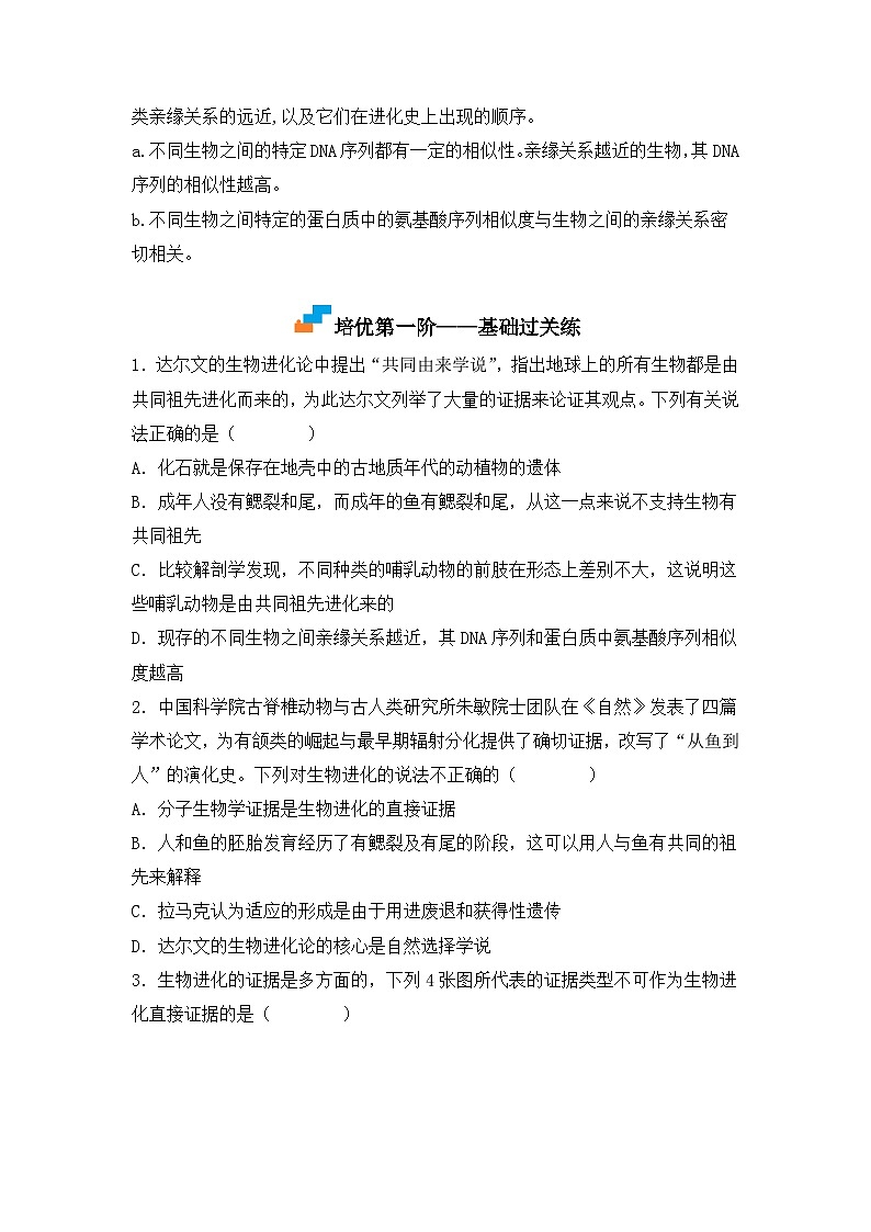 （人教版2019必修2）高一生物课后培优分级练6.1 生物有共同祖先的证据（原卷版+解析）第2页