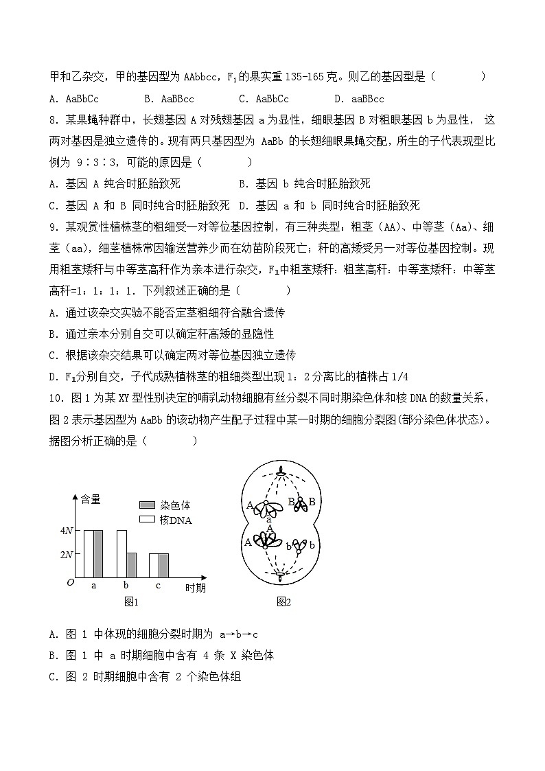（人教版2019必修2）高一生物课后培优分级练期中检测卷02（提升练）（考试范围：第1~3章）（原卷版+解析）第3页