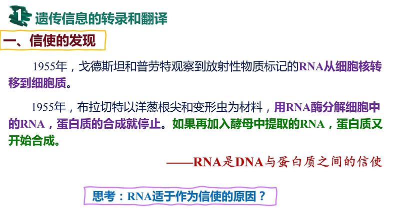 备战高考生物一轮复习优质课件 第18讲 基因的表达04