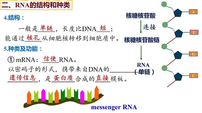 备战高考生物一轮复习优质课件 第18讲 基因的表达07