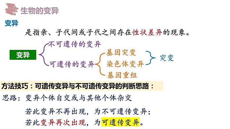 备战高考生物一轮复习优质课件 第19讲 基因突变和基因重组02