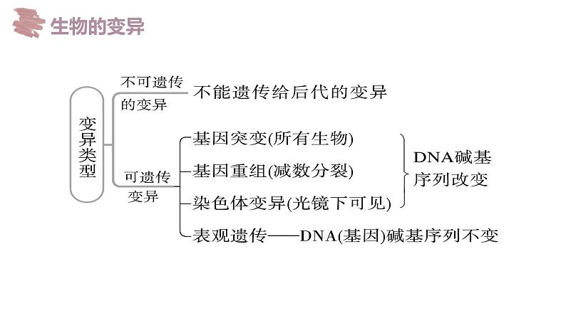 备战高考生物一轮复习优质课件 第19讲 基因突变和基因重组03