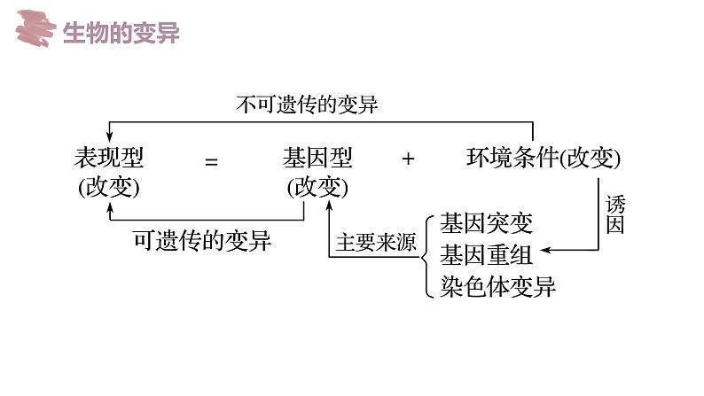 备战高考生物一轮复习优质课件 第19讲 基因突变和基因重组04