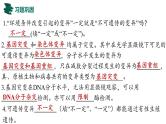 备战高考生物一轮复习优质课件 第19讲 基因突变和基因重组