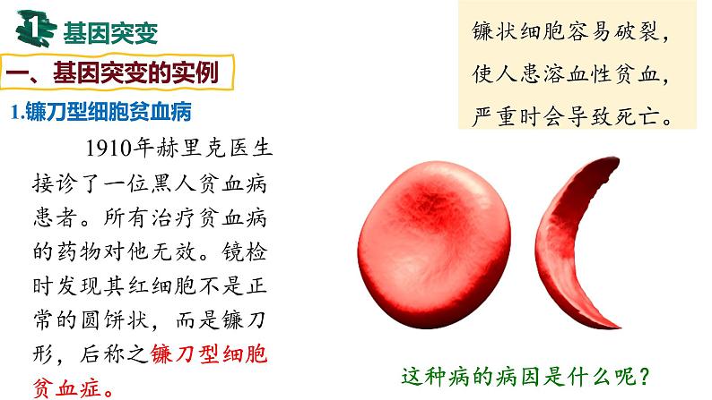 备战高考生物一轮复习优质课件 第19讲 基因突变和基因重组08