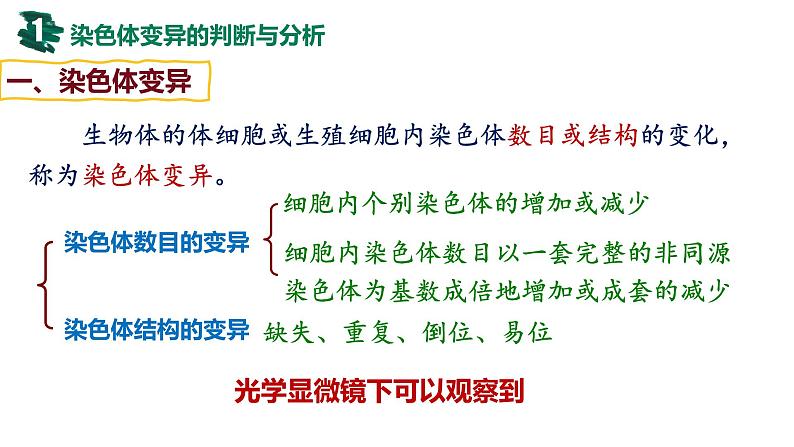 备战高考生物一轮复习优质课件 第20讲 染色体变异04