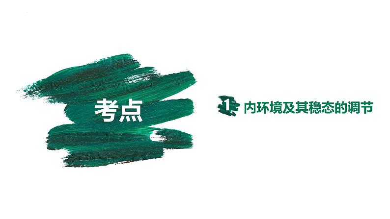 备战高考生物一轮复习优质课件 第22讲 人体内环境稳态第2页