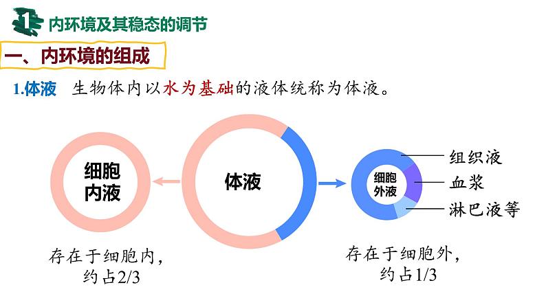 备战高考生物一轮复习优质课件 第22讲 人体内环境稳态第3页