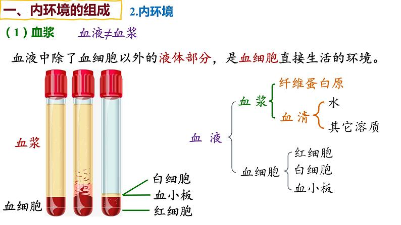 备战高考生物一轮复习优质课件 第22讲 人体内环境稳态第6页