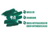 备战高考生物一轮复习优质课件 第26讲 植物生命活动的调节