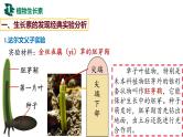 备战高考生物一轮复习优质课件 第26讲 植物生命活动的调节