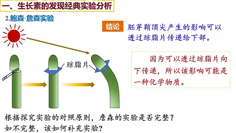 备战高考生物一轮复习优质课件 第26讲 植物生命活动的调节第8页