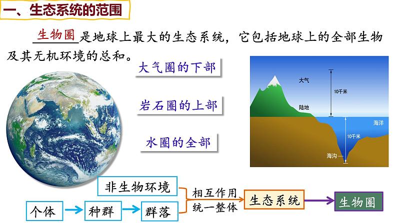 备战高考生物一轮复习优质课件 第29讲 生态系统的结构与能量流动05