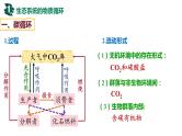 备战高考生物一轮复习优质课件 第30讲 生态系统的物质循环、信息传递及其稳定性
