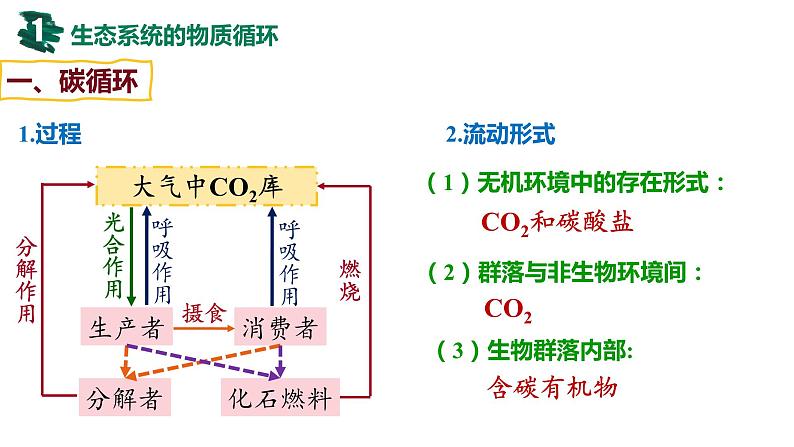 备战高考生物一轮复习优质课件 第30讲 生态系统的物质循环、信息传递及其稳定性04