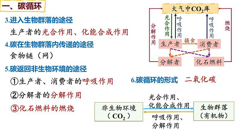 备战高考生物一轮复习优质课件 第30讲 生态系统的物质循环、信息传递及其稳定性05