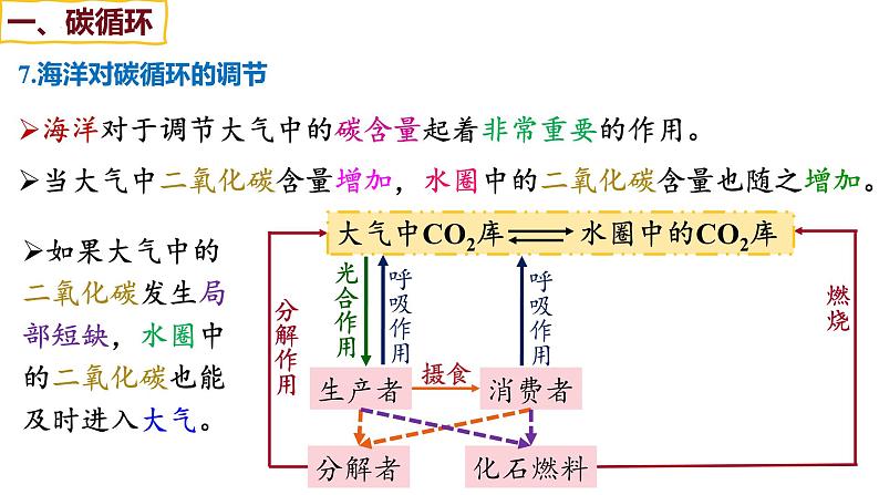 备战高考生物一轮复习优质课件 第30讲 生态系统的物质循环、信息传递及其稳定性06