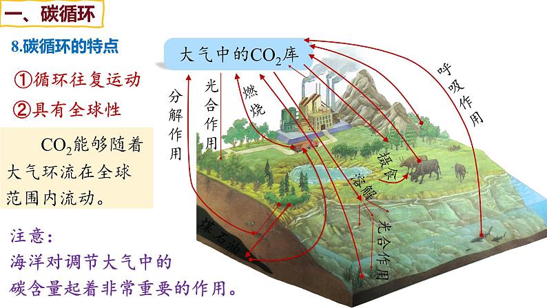 备战高考生物一轮复习优质课件 第30讲 生态系统的物质循环、信息传递及其稳定性07