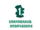 备战高考生物一轮复习优质课件 第21讲 生物的进化