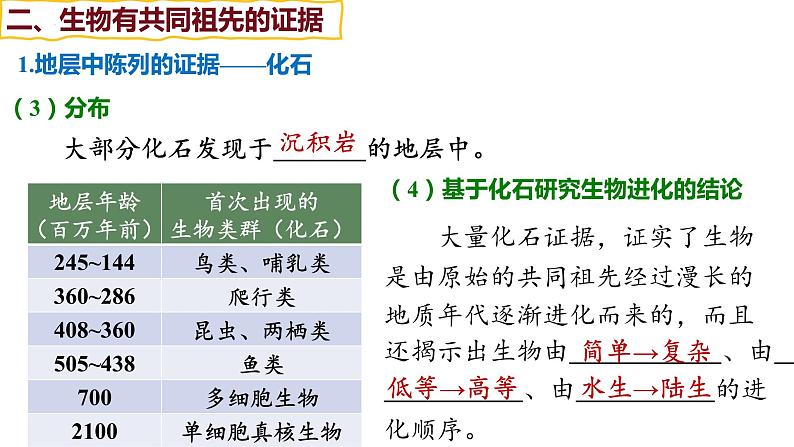 备战高考生物一轮复习优质课件 第21讲 生物的进化07