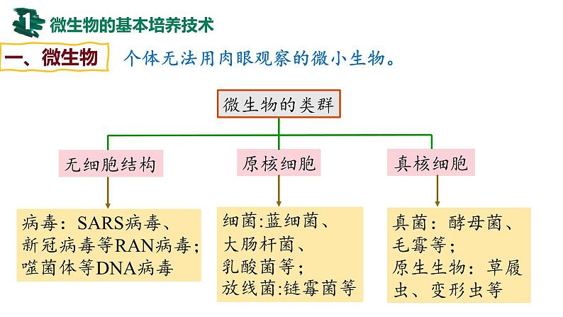 备战高考生物一轮复习优质课件 第33讲 微生物的培养技术及应用04