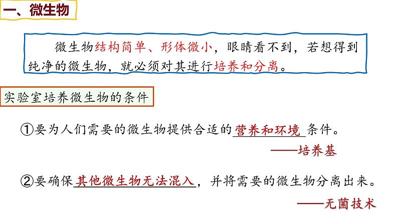 备战高考生物一轮复习优质课件 第33讲 微生物的培养技术及应用05