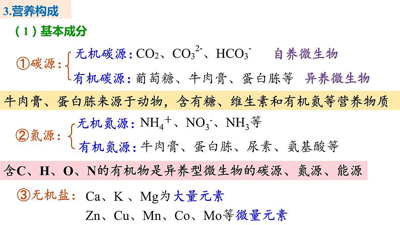 备战高考生物一轮复习优质课件 第33讲 微生物的培养技术及应用07