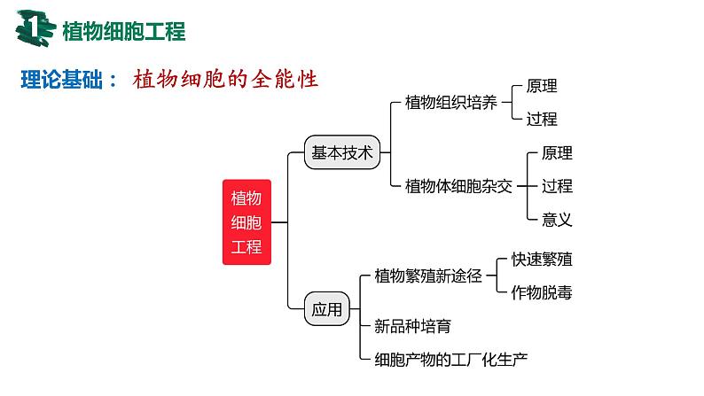 备战高考生物一轮复习优质课件 第34讲 细胞工程和胚胎工程第5页