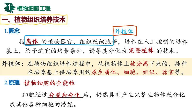 备战高考生物一轮复习优质课件 第34讲 细胞工程和胚胎工程第6页