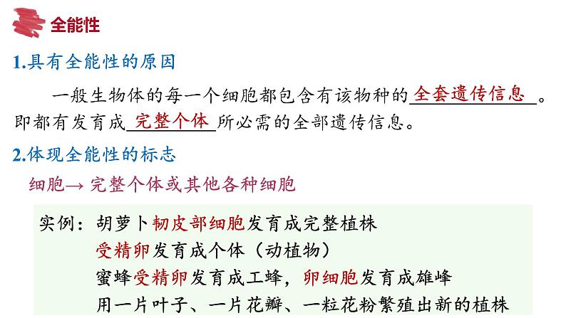 备战高考生物一轮复习优质课件 第34讲 细胞工程和胚胎工程第7页