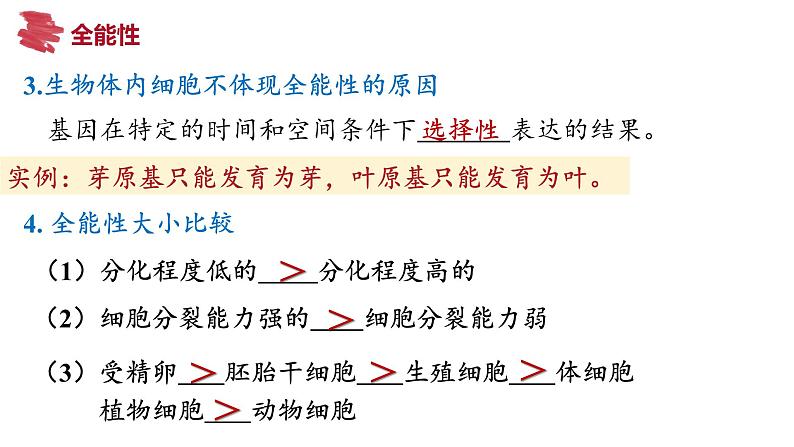 备战高考生物一轮复习优质课件 第34讲 细胞工程和胚胎工程第8页