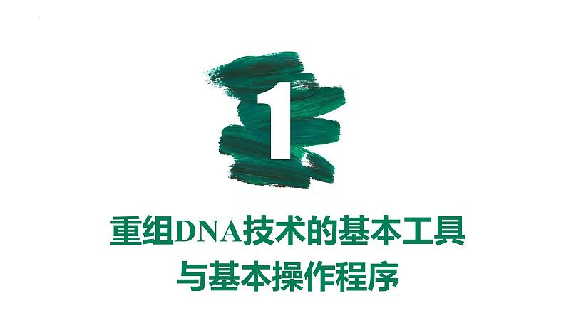 备战高考生物一轮复习优质课件 第35讲 基因工程及生物技术的安全性与伦理问题第3页