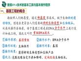 备战高考生物一轮复习优质课件 第35讲 基因工程及生物技术的安全性与伦理问题