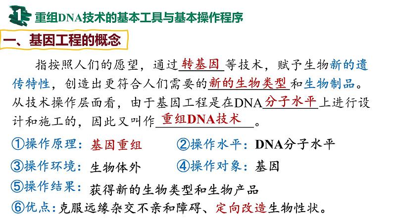 备战高考生物一轮复习优质课件 第35讲 基因工程及生物技术的安全性与伦理问题第4页