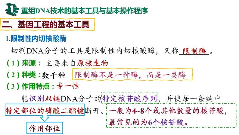 备战高考生物一轮复习优质课件 第35讲 基因工程及生物技术的安全性与伦理问题第7页